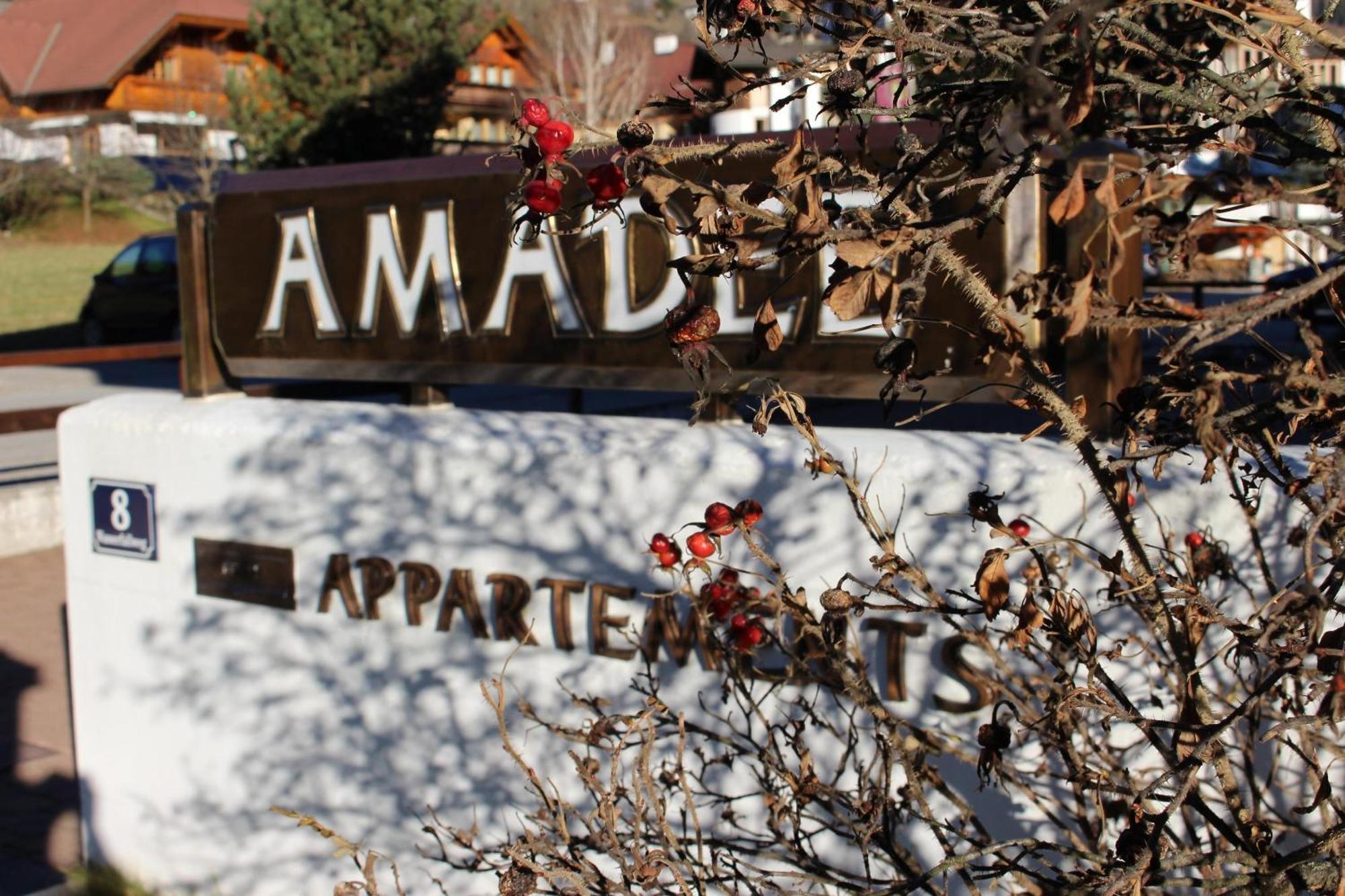 Amadee Appartements Bad Kleinkirchheim Exterior foto